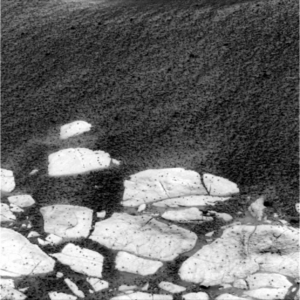 The Image