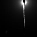 The Image