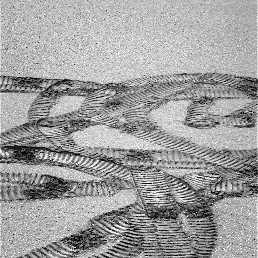 The Image