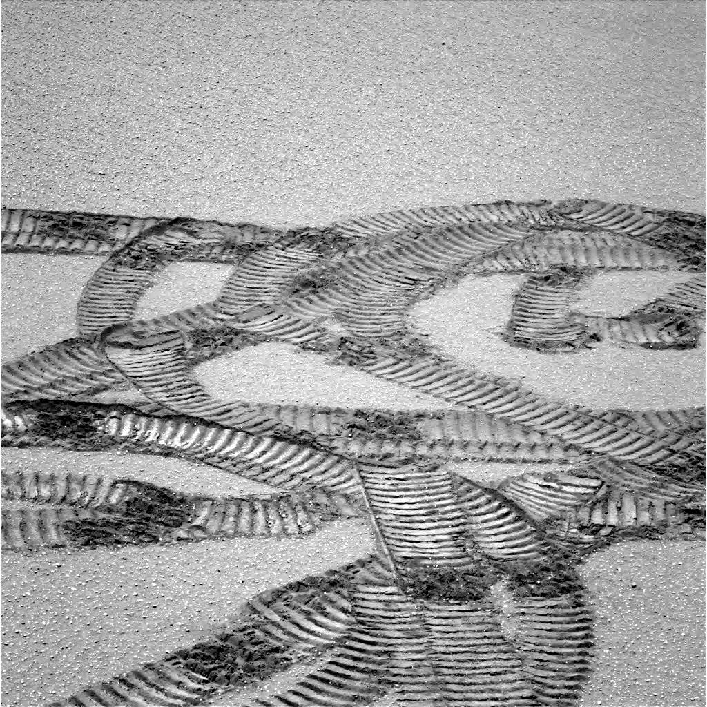 The Image