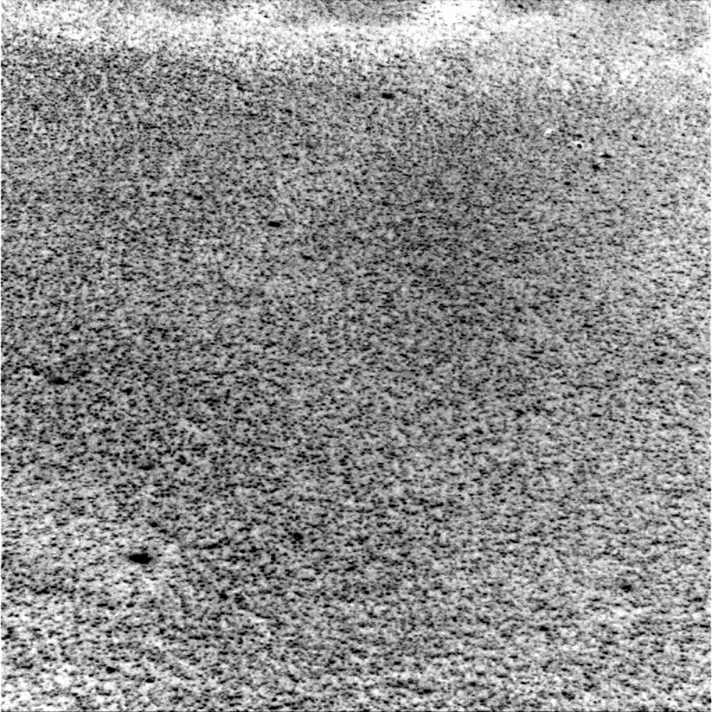The Image