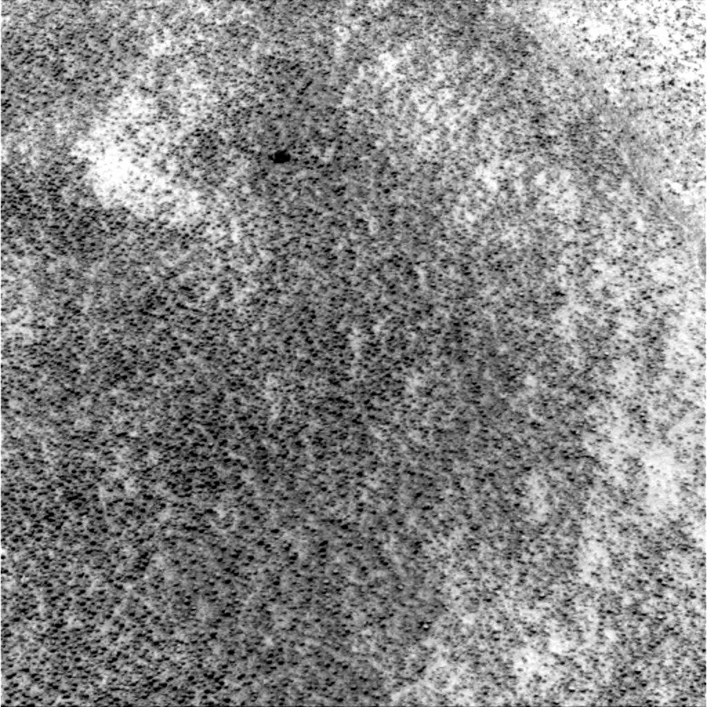 The Image