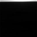 The Image