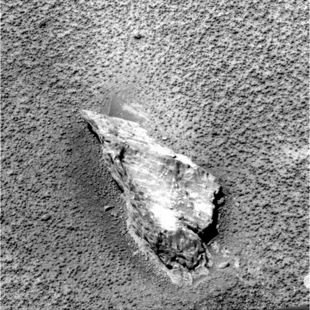 The Image