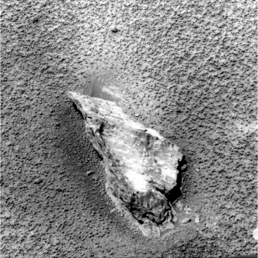 The Image