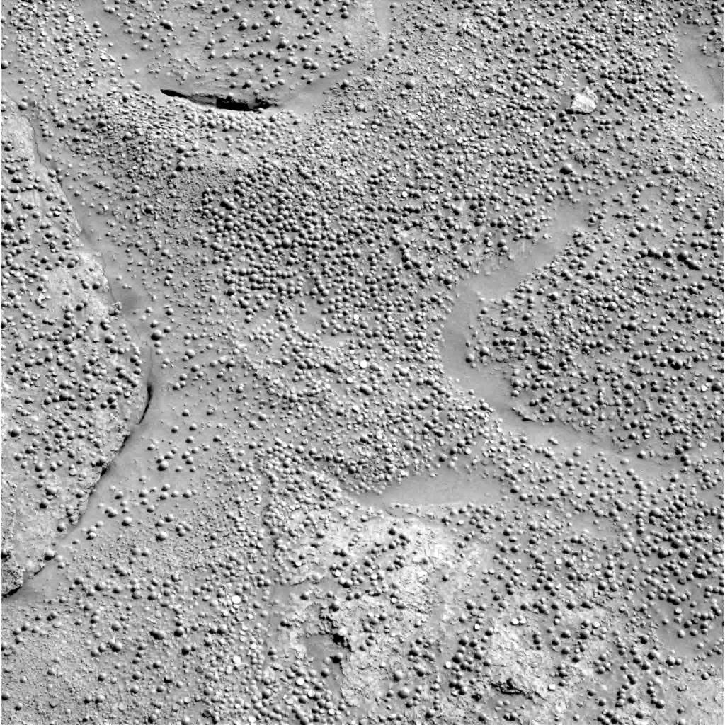 The Image