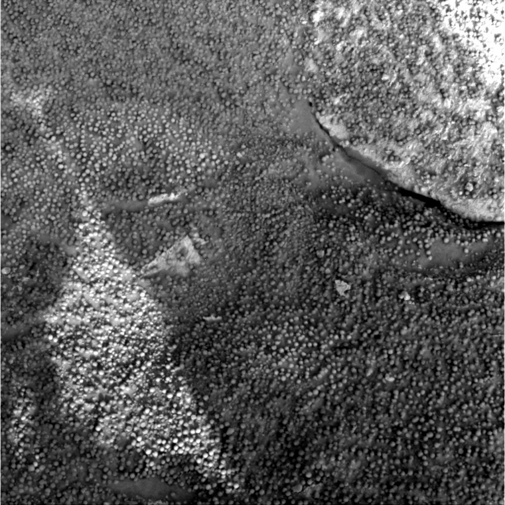 The Image