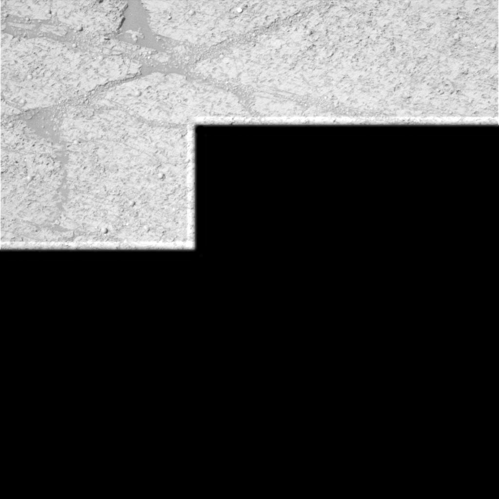 The Image