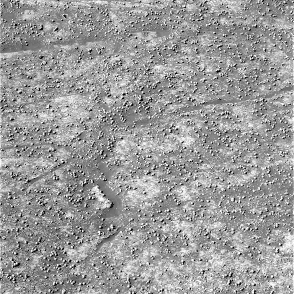 The Image
