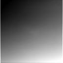 The Image