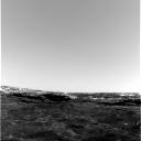 The Image