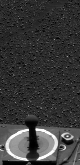 The Image