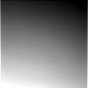 The Image