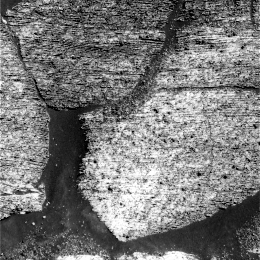 The Image