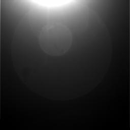 The Image