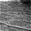 The Image