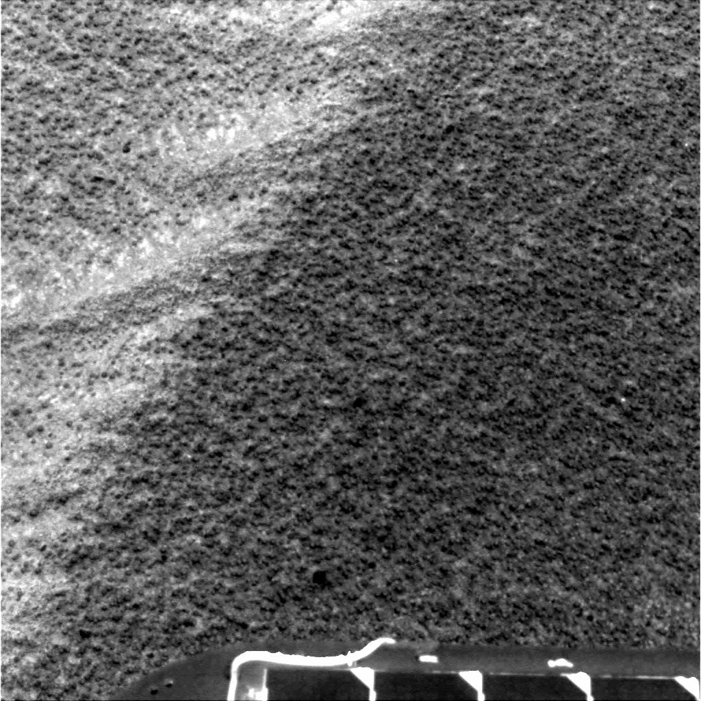 The Image