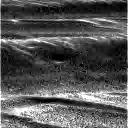 The Image