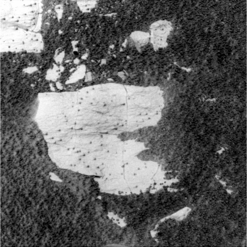 The Image