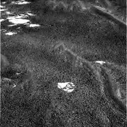 The Image