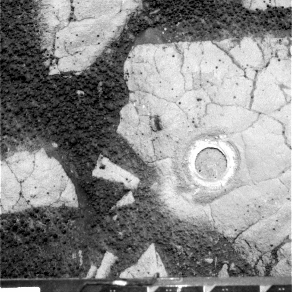 The Image