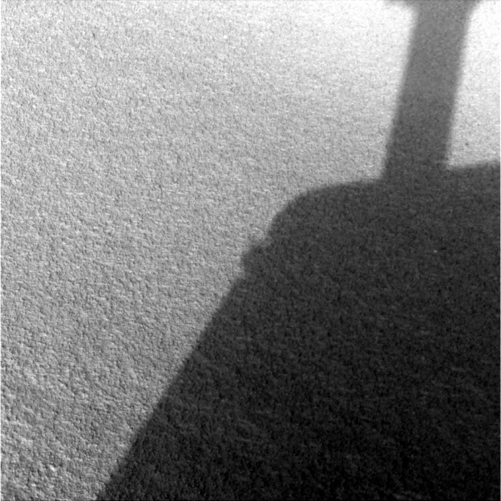 The Image