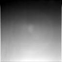 The Image