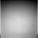 The Image