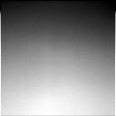 The Image