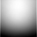 The Image