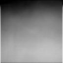The Image