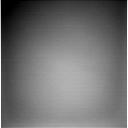 The Image