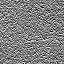 The Image