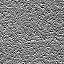 The Image