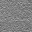 The Image