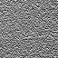 The Image