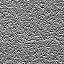 The Image