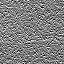 The Image