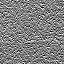 The Image