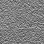 The Image