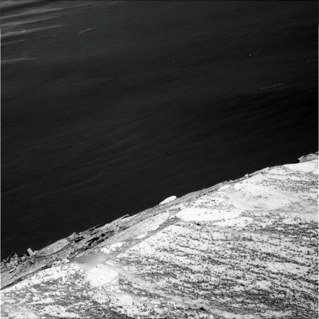 The Image