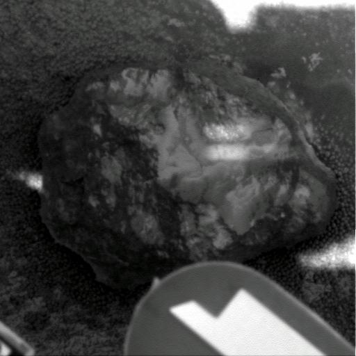 The Image