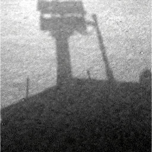 The Image