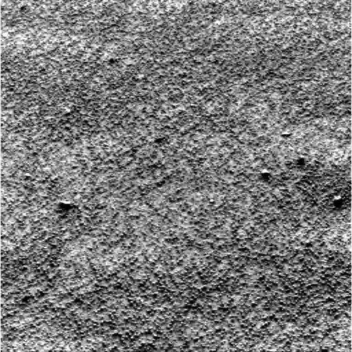 The Image