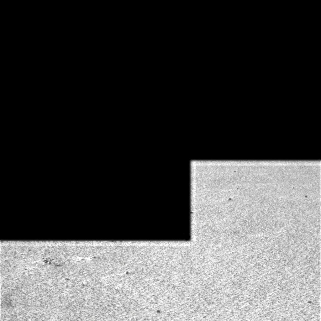 The Image