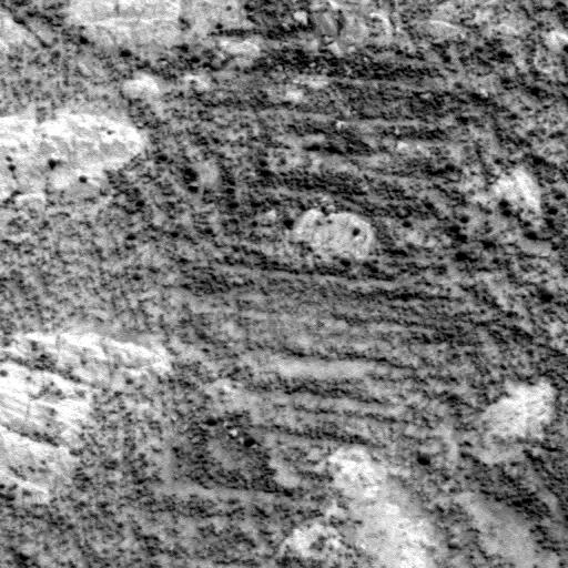 The Image
