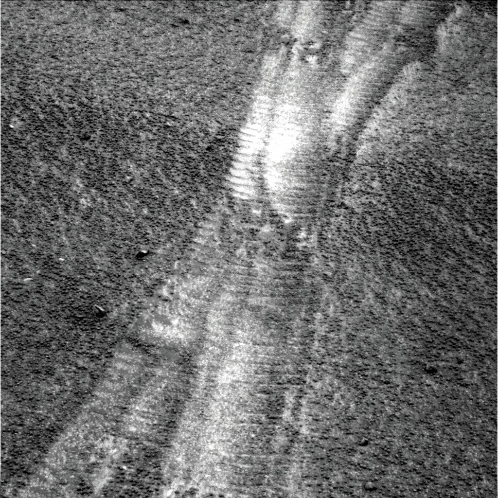The Image