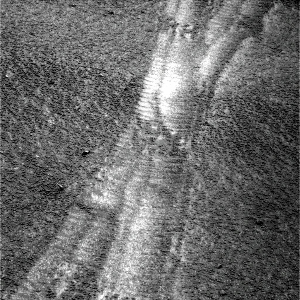 The Image