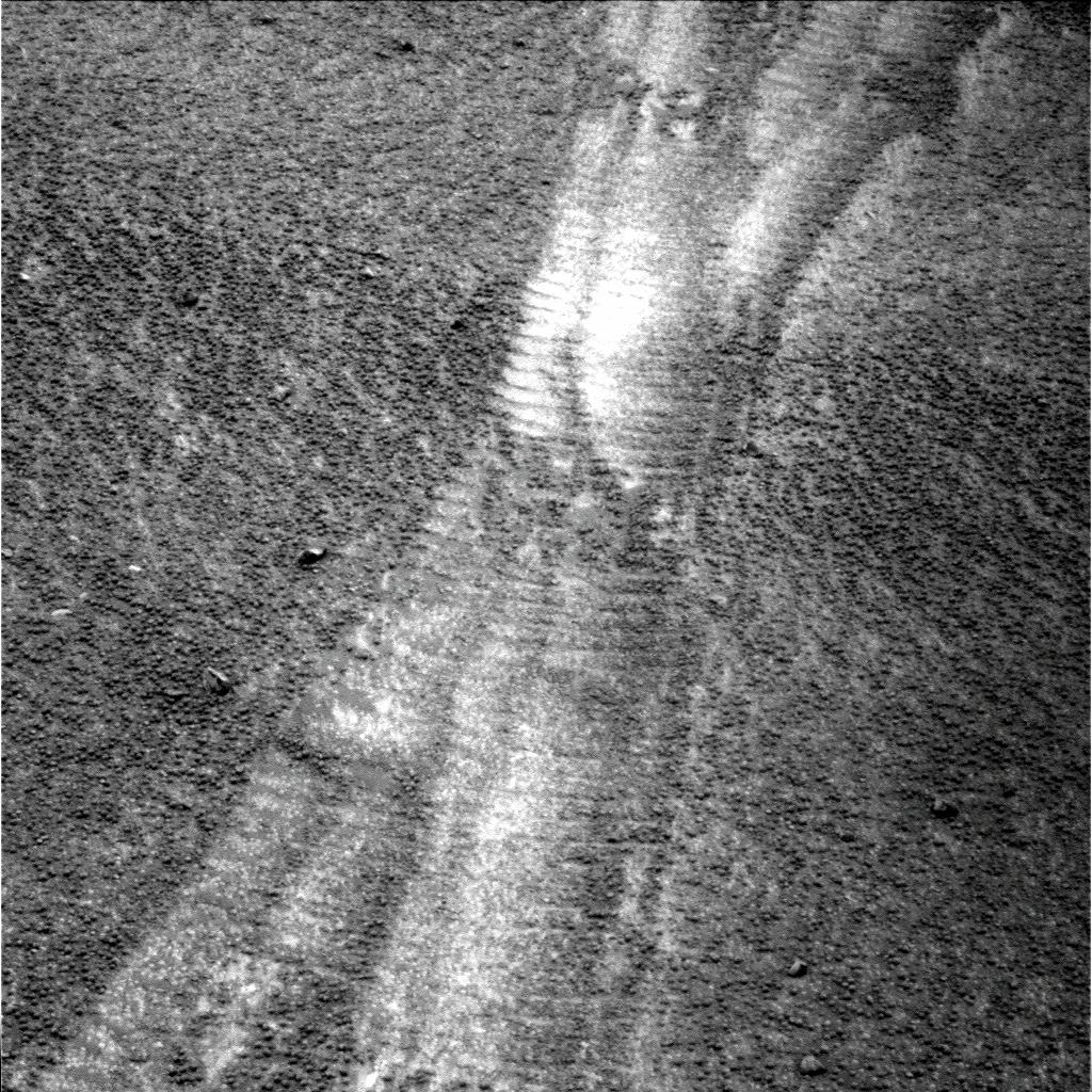 The Image