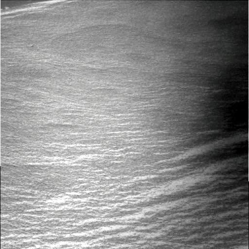 The Image
